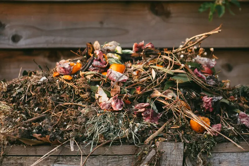 Kitchen scraps and garden trimmings on a compost heap