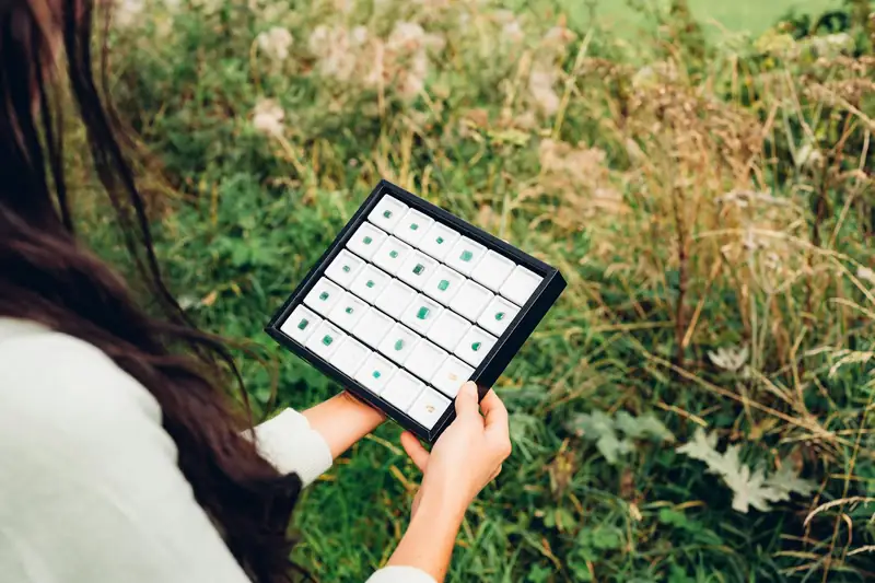 Checking crop data on a tablet in the field