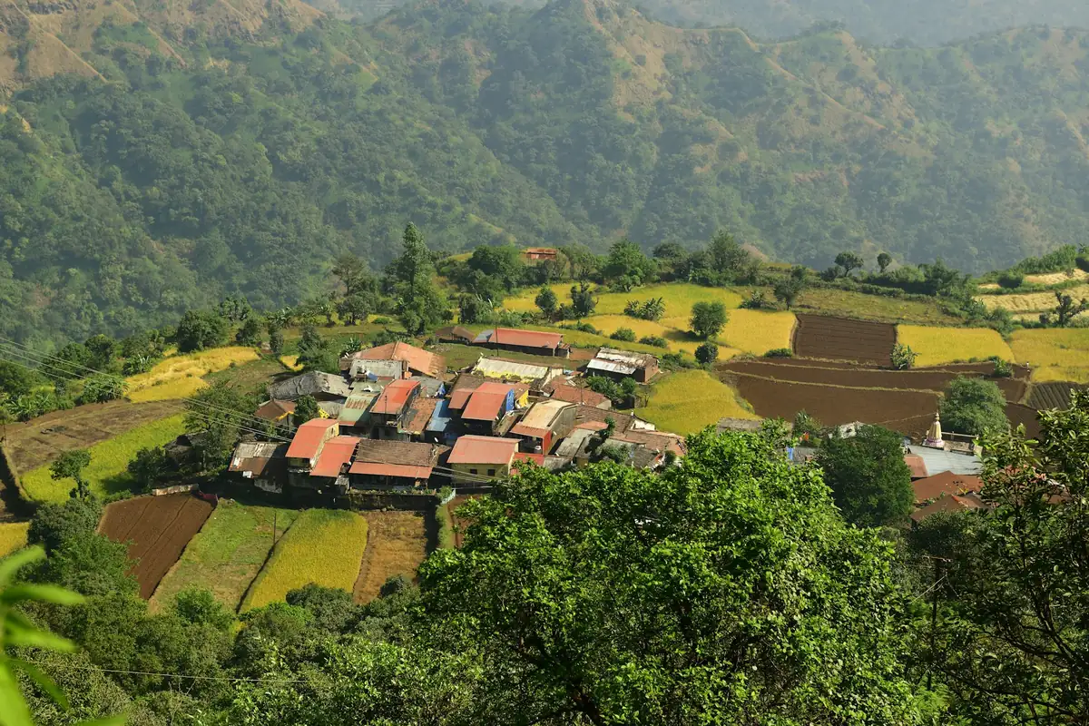 Terraced fields around a Himalayan village