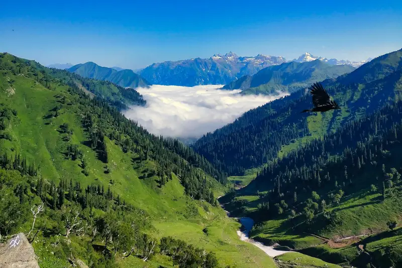 Green valley in the Kashmir Himalaya