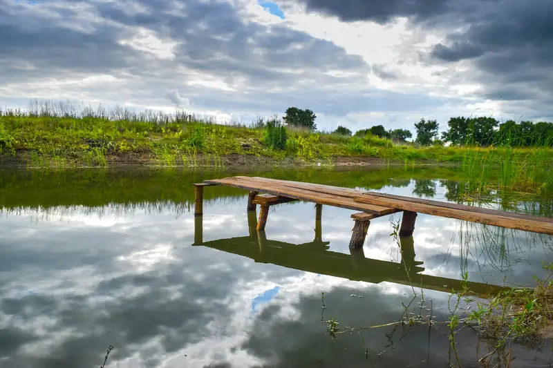 Natural swimming pond with a wooden jetty