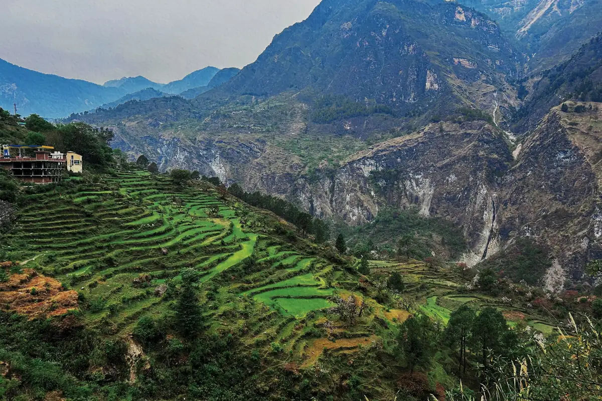 Terraced fields on a Himalayan slope